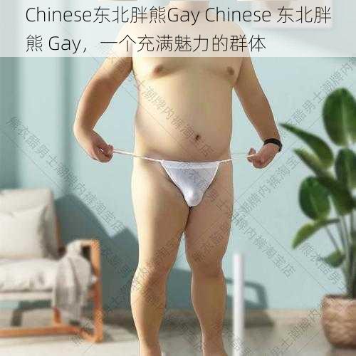 Chinese东北胖熊Gay Chinese 东北胖熊 Gay，一个充满魅力的群体