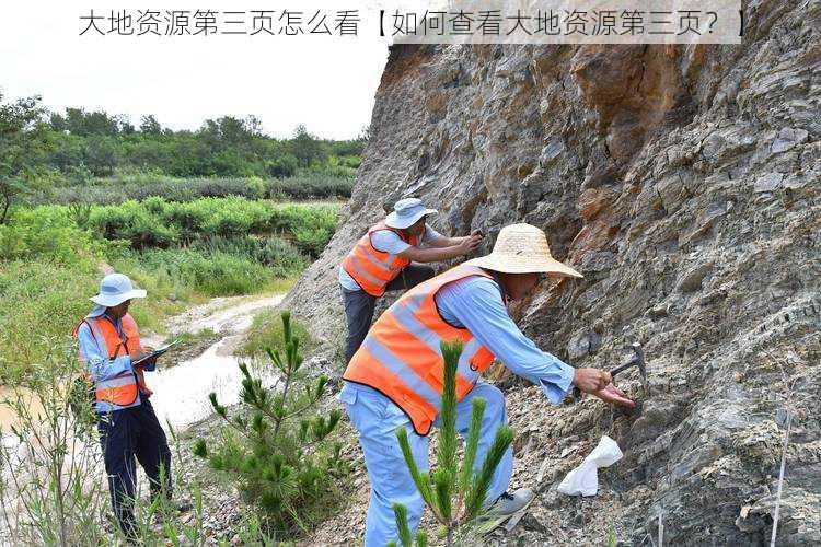 大地资源第三页怎么看【如何查看大地资源第三页？】