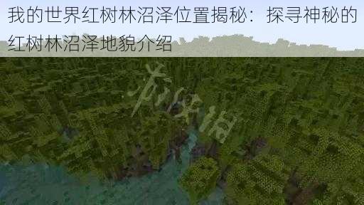 我的世界红树林沼泽位置揭秘：探寻神秘的红树林沼泽地貌介绍