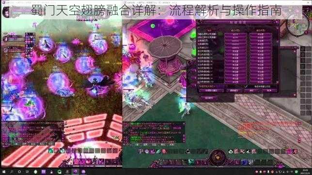 蜀门天空翅膀融合详解：流程解析与操作指南