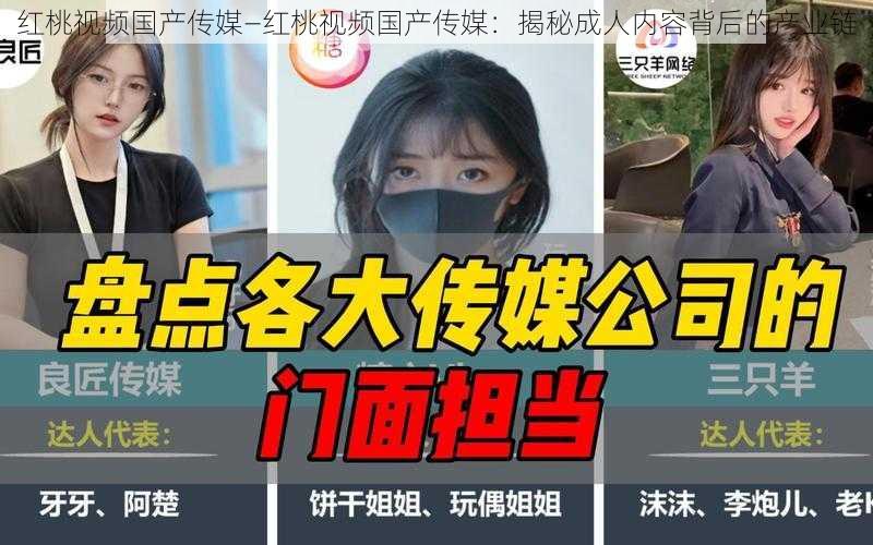 红桃视频国产传媒—红桃视频国产传媒：揭秘成人内容背后的产业链