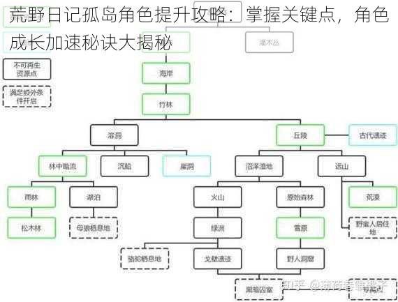 荒野日记孤岛角色提升攻略：掌握关键点，角色成长加速秘诀大揭秘