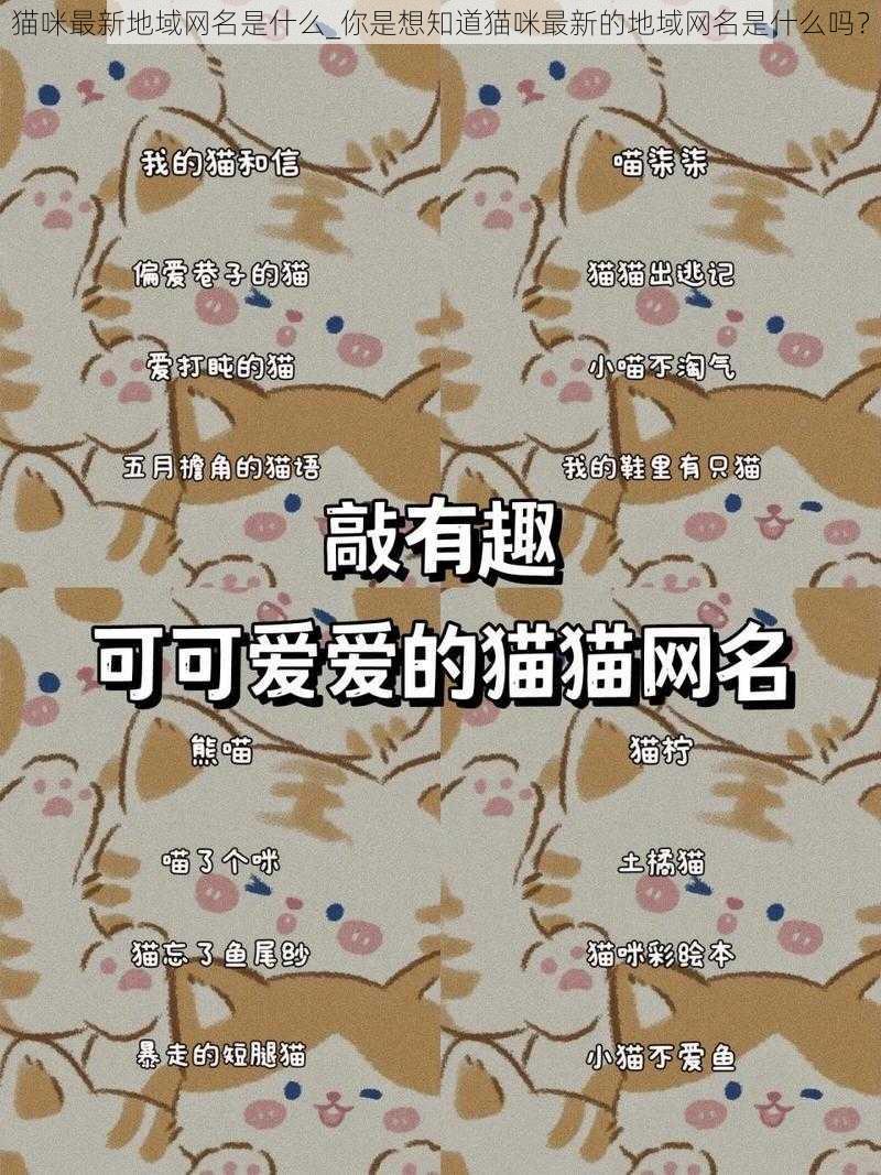 猫咪最新地域网名是什么_你是想知道猫咪最新的地域网名是什么吗？