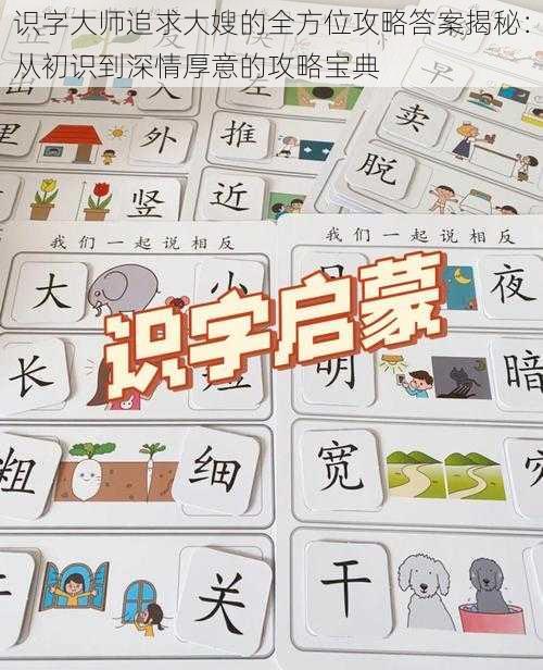 识字大师追求大嫂的全方位攻略答案揭秘：从初识到深情厚意的攻略宝典