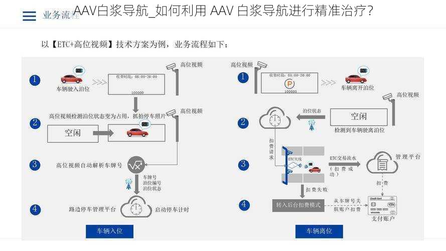 AAV白浆导航_如何利用 AAV 白浆导航进行精准治疗？