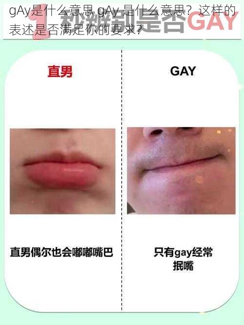 gAy是什么意思 gAy 是什么意思？这样的表述是否满足你的要求？