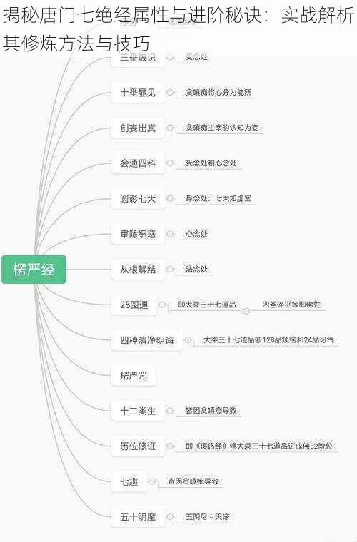 揭秘唐门七绝经属性与进阶秘诀：实战解析其修炼方法与技巧