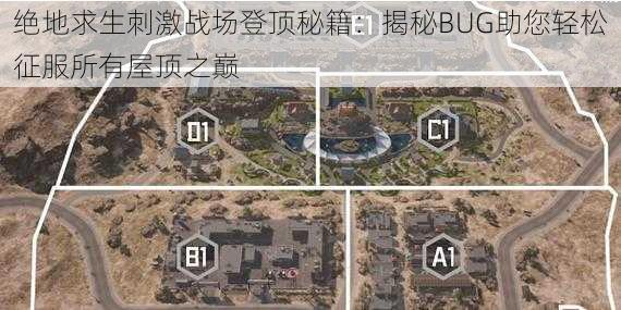 绝地求生刺激战场登顶秘籍：揭秘BUG助您轻松征服所有屋顶之巅