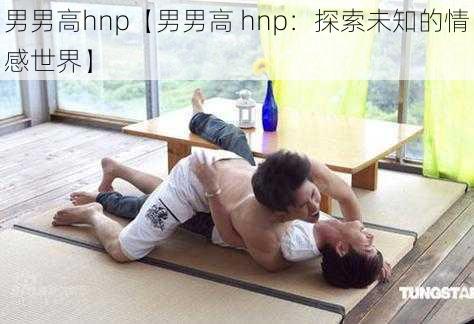 男男高hnp【男男高 hnp：探索未知的情感世界】