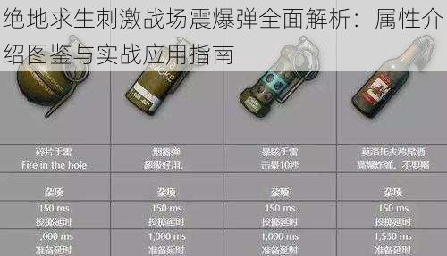 绝地求生刺激战场震爆弹全面解析：属性介绍图鉴与实战应用指南