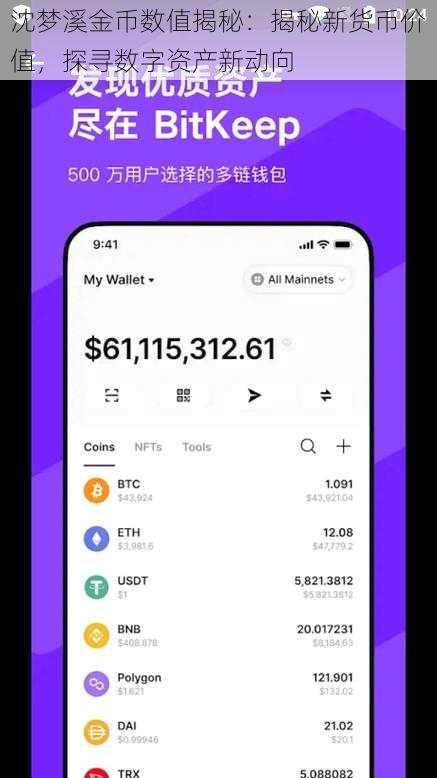 沈梦溪金币数值揭秘：揭秘新货币价值，探寻数字资产新动向