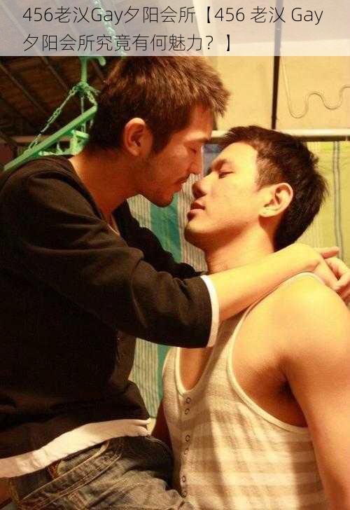 456老㲼Gay夕阳会所【456 老㲼 Gay 夕阳会所究竟有何魅力？】