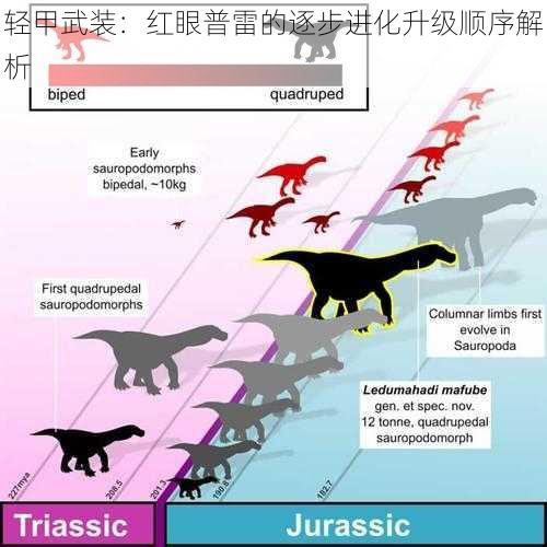 轻甲武装：红眼普雷的逐步进化升级顺序解析