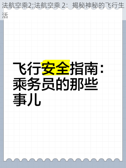 法航空乘2;法航空乘 2：揭秘神秘的飞行生活