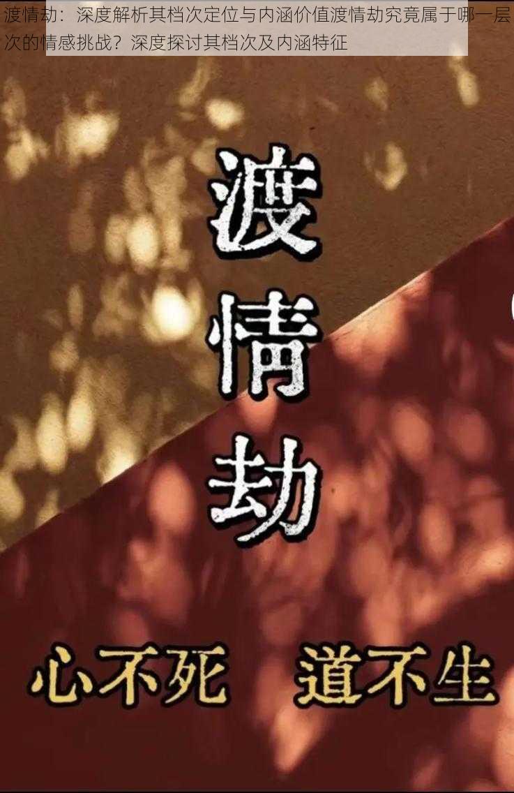 渡情劫：深度解析其档次定位与内涵价值渡情劫究竟属于哪一层次的情感挑战？深度探讨其档次及内涵特征