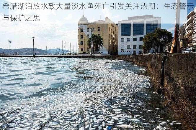 希腊湖泊放水致大量淡水鱼死亡引发关注热潮：生态警示与保护之思