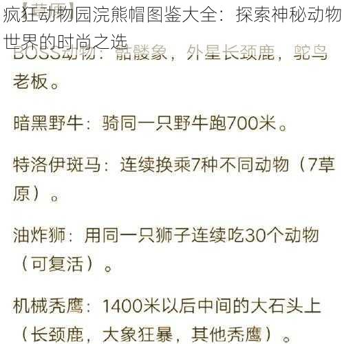 疯狂动物园浣熊帽图鉴大全：探索神秘动物世界的时尚之选