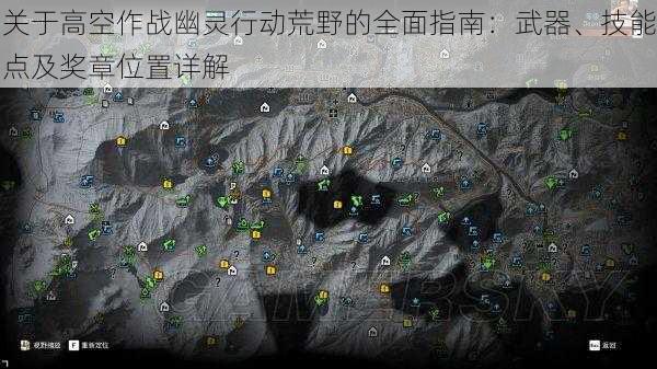 关于高空作战幽灵行动荒野的全面指南：武器、技能点及奖章位置详解