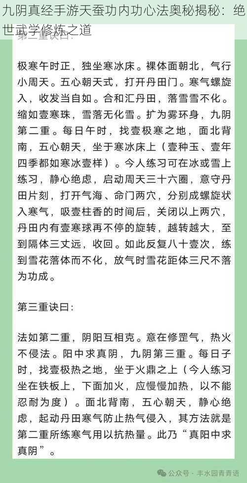 九阴真经手游天蚕功内功心法奥秘揭秘：绝世武学修炼之道