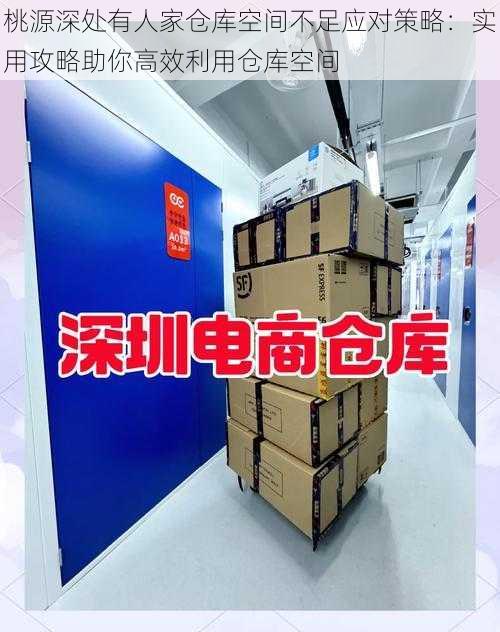 桃源深处有人家仓库空间不足应对策略：实用攻略助你高效利用仓库空间