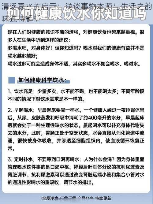 清汤寡水的启示：浅谈事物本源与生活之韵味独特解析