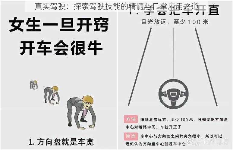 真实驾驶：探索驾驶技能的精髓与日常应用之道